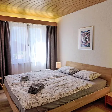 Apartamento Almis-boedeli-1 By Interhome Grindelwald