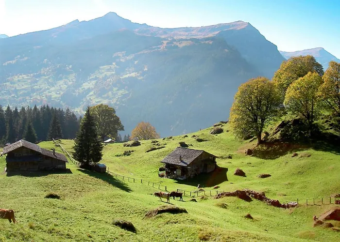 Almis-boedeli-1 By Interhome Appartamento