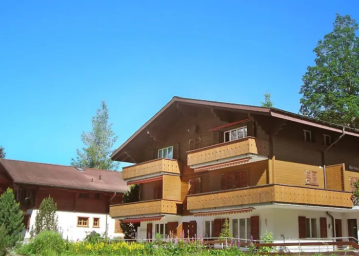 Almis-boedeli-1 By Interhome アパート グリンデルヴァルト